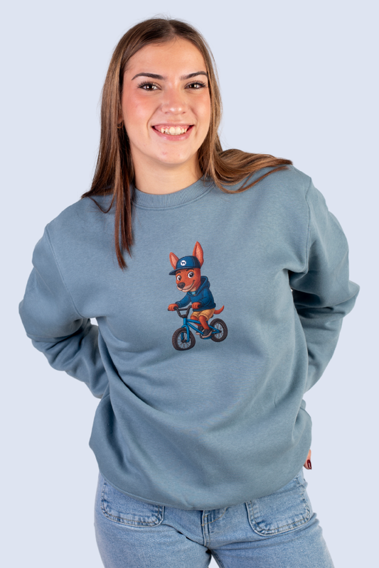 SUDADERA RINGO UNISEX